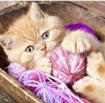 Meshalkina  Irina(ok.i.toys) - Ярмарка Мастеров - ручная работа, handmade