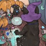 witchcraft-store