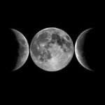 moonlight-13