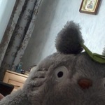 Irina Sharaj (iriskinaradost) - Livemaster - handmade