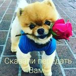 Аватар покупателя