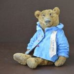 Bush_teddy (tatbush) - Livemaster - handmade