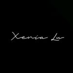 Sumki Xenia Lu - Livemaster - handmade
