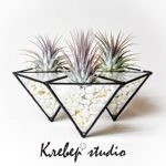 cleverstudio