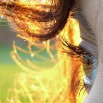 Alessia Medvedeva (medvedevastyle) - Livemaster - handmade