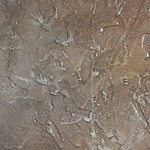 arteldecora