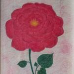 amour-toujour