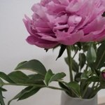 Lidiya Pavlovna - Ярмарка Мастеров - ручная работа, handmade