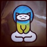 buddhacat