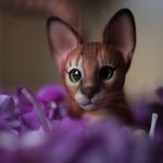 Cleo lesal - Livemaster - handmade