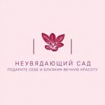 neuvyadayuschij-sad-1