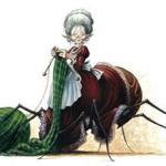 svetlanash