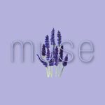 Magazin «Muse» - Livemaster - handmade
