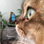 Aleksandra