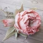 tatagroo