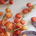 Grafikastudio - Ярмарка Мастеров - ручная работа, handmade