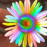 Natalija - Livemaster - handmade