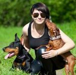 kareva-dog