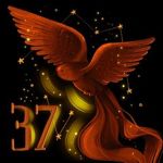 37-e-sozvezdie - Livemaster - handmade