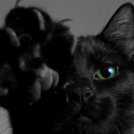 Аватар покупателя