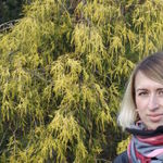 Yuliya Malovskaya (Evistep) - Livemaster - handmade