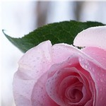 Аватар покупателя