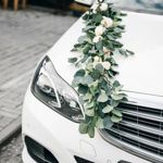 avtodecor42