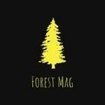 forest-magadan