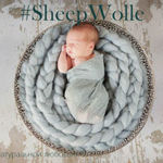 sheepswool