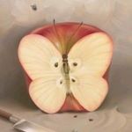 butterflyhouse