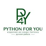 python4you-1