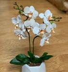 Elena (clayhandmade) - Ярмарка Мастеров - ручная работа, handmade