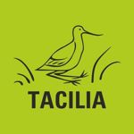 Tacilia - Livemaster - handmade