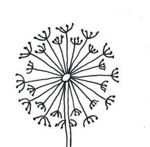 bortiki55