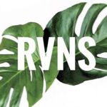 RAVENS (RVNS) - Livemaster - handmade