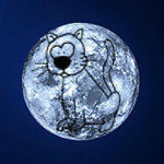 moon-cat