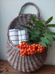 ecolozzza-
