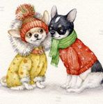 knitting-for-small-dogs