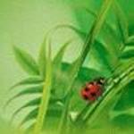 greenhome
