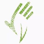 green-craft-workshop
