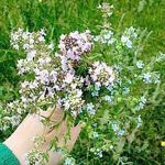 Nordiclandtales - Livemaster - handmade