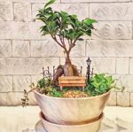 Mini-sadiki - Livemaster - handmade
