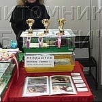 Tsybina Natali - Livemaster - handmade