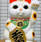 designo-cat
