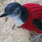 mysweater