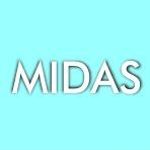 MIDAS - Livemaster - handmade