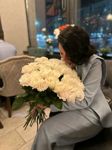 alina-65u