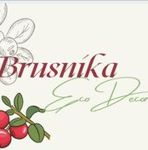 Brusnika-ekodekor- - Livemaster - handmade