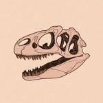 dinosaur-bone-shop