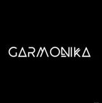 GARMONIKA - Livemaster - handmade